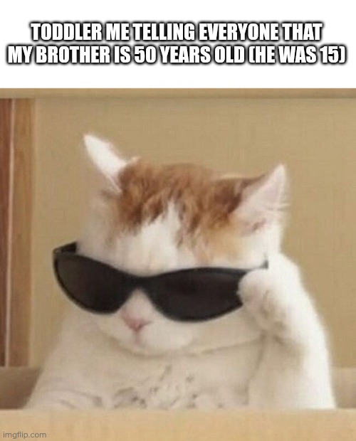 I actually misunderstood his age, I legit thought he was 50, even though our mom was only in her 40's ? | TODDLER ME TELLING EVERYONE THAT MY BROTHER IS 50 YEARS OLD (HE WAS 15) | image tagged in cool cat,toddler | made w/ Imgflip meme maker