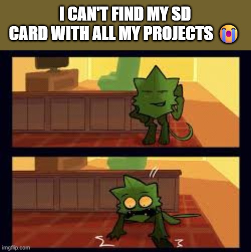 CRO IT WAS ON MY BED | I CAN'T FIND MY SD CARD WITH ALL MY PROJECTS 😭 | image tagged in minty panic | made w/ Imgflip meme maker