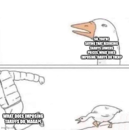 Goose Chase | SO, YOU'RE SAYING THAT REDUCING TARIFFS LOWERS PRICES. WHAT DOES IMPOSING TARIFFS DO THEN? WHAT DOES IMPOSING TARIFFS DO, MAGA?! | image tagged in goose chase | made w/ Imgflip meme maker