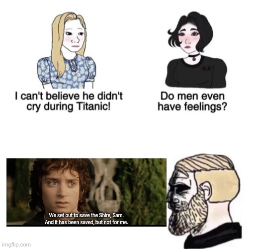 We set out to save the Shire, Sam.
And it has been saved, but not for me. | image tagged in he didn't cry during titanic | made w/ Imgflip meme maker