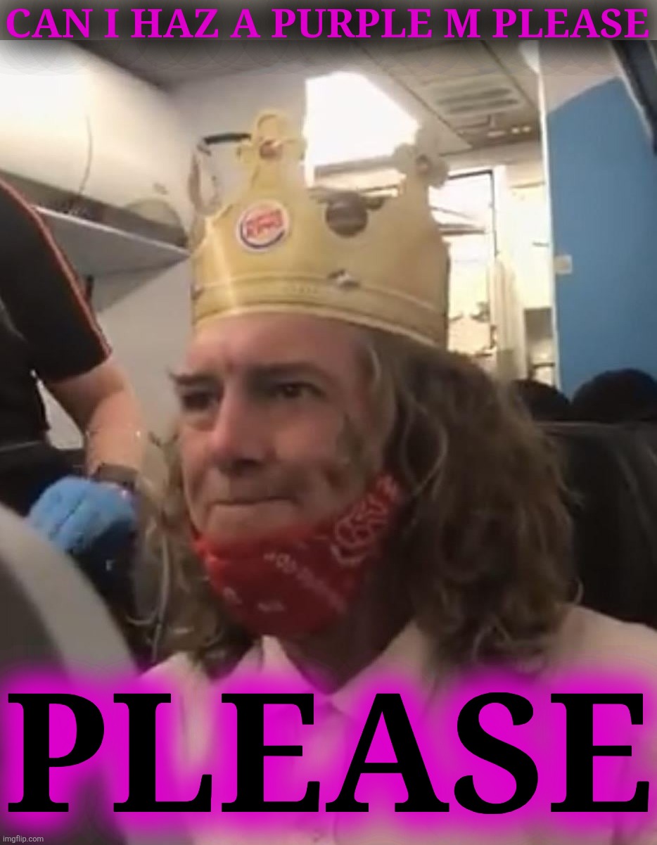 Burger King Crown Airplane | CAN I HAZ A PURPLE M PLEASE PLEASE | image tagged in burger king crown airplane | made w/ Imgflip meme maker