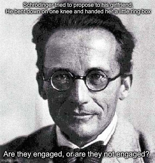 Proposal or not | Schrödinger tried to propose to his girlfriend. He bent down on one knee and handed her a little ring box; Are they engaged, or are they not engaged? | image tagged in schrodinger,box,cat,ring,engagement | made w/ Imgflip meme maker