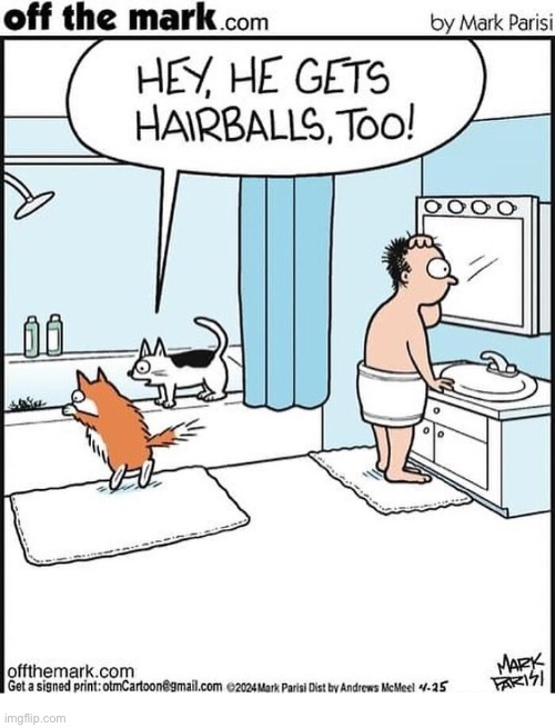 Alas, it’s true… | image tagged in cats,off the mark,comics,bathtub,human,hairball | made w/ Imgflip meme maker