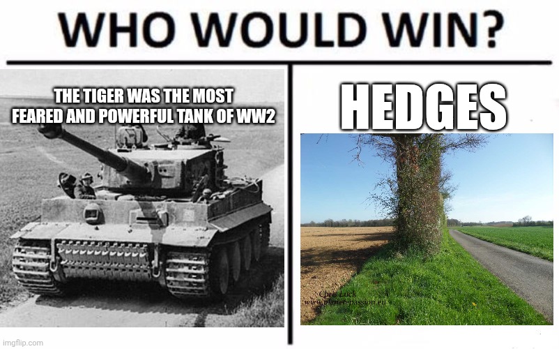Who Would Win? | THE TIGER WAS THE MOST FEARED AND POWERFUL TANK OF WW2; HEDGES | image tagged in memes,who would win | made w/ Imgflip meme maker