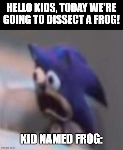 oh no | HELLO KIDS, TODAY WE'RE GOING TO DISSECT A FROG! KID NAMED FROG: | image tagged in traumatised sonic | made w/ Imgflip meme maker