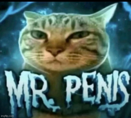 Mr. Penis | image tagged in mr penis | made w/ Imgflip meme maker