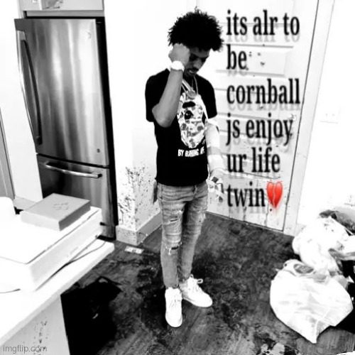 . | image tagged in it's alr to be cornball js enjoy your life twin | made w/ Imgflip meme maker