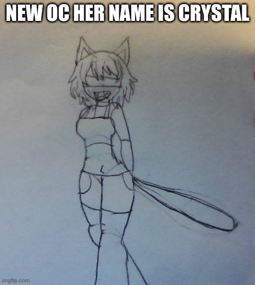 NEW OC HER NAME IS CRYSTAL | made w/ Imgflip meme maker