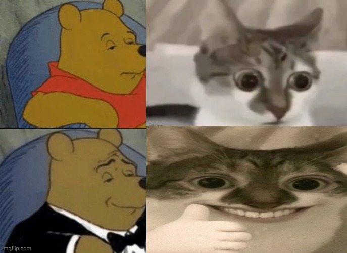 Tuxedo Winnie The Pooh Meme | image tagged in memes,tuxedo winnie the pooh | made w/ Imgflip meme maker