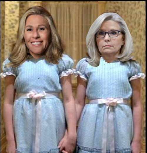MTG & Liz Cheney twins Blank Meme Template
