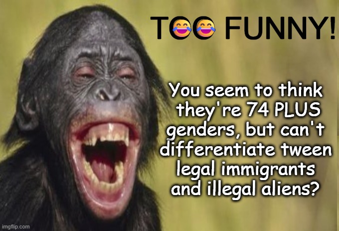 Oh, the irony... | TOO FUNNY! 😂😂; You seem to think 
they're 74 PLUS
genders, but can't 
differentiate tween 
legal immigrants 
and illegal aliens? | image tagged in even monkeys get it,gender identity,illegal immigration,illegal aliens,wait that's illegal,political humor | made w/ Imgflip meme maker