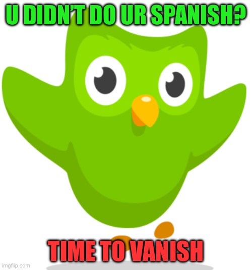 Never forget your Spanish lessons | U DIDN’T DO UR SPANISH? TIME TO VANISH | image tagged in duolingo owl | made w/ Imgflip meme maker