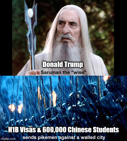 Donald the Wise | image tagged in saruman,politics | made w/ Imgflip meme maker