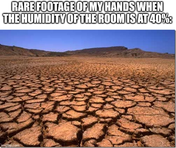 I hate dry air | RARE FOOTAGE OF MY HANDS WHEN THE HUMIDITY OF THE ROOM IS AT 40%: | image tagged in parched earth | made w/ Imgflip meme maker