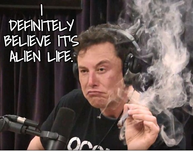 Elon Musk smoking a joint | I DEFINITELY BELIEVE IT'S ALIEN LIFE. | image tagged in elon musk smoking a joint | made w/ Imgflip meme maker