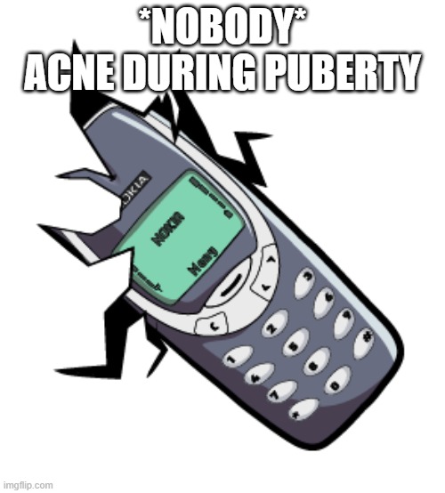 its so annoying!!!!!! | *NOBODY*
ACNE DURING PUBERTY | image tagged in indestructable nokia 3310,puberty,acne,teen | made w/ Imgflip meme maker