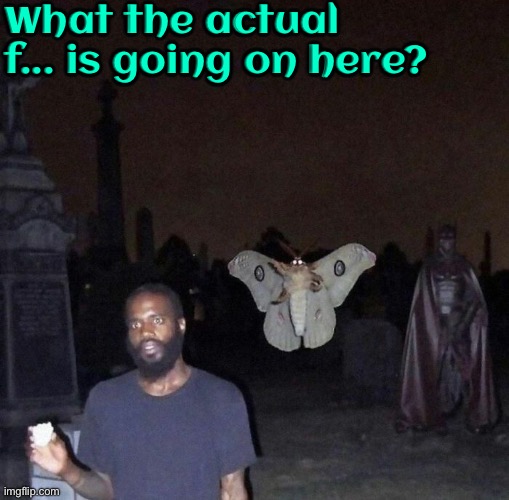 What The Actual F... | What the actual f... is going on here? | image tagged in what the actual f,cursed images,what the f k did you just bring upon this cursed land,excuse me wtf,creepy,cursed | made w/ Imgflip meme maker