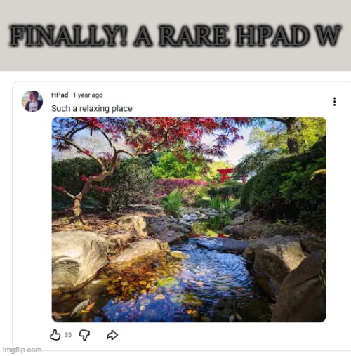 he was being based, for once | FINALLY! A RARE HPAD W | image tagged in japanese | made w/ Imgflip meme maker