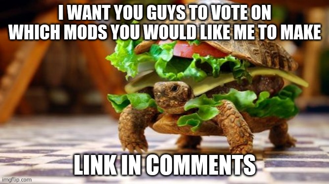 Minecraft related as you are voting on what mod I should make | I WANT YOU GUYS TO VOTE ON WHICH MODS YOU WOULD LIKE ME TO MAKE; LINK IN COMMENTS | image tagged in tortoise samwich | made w/ Imgflip meme maker