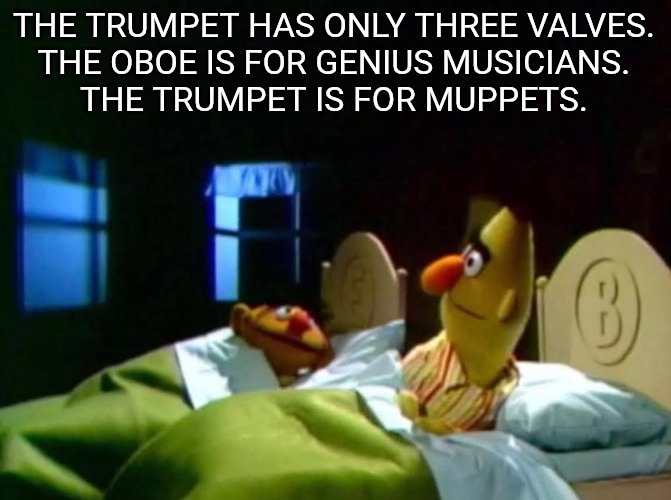 Burt and ernie talking in bed | THE TRUMPET HAS ONLY THREE VALVES.
THE OBOE IS FOR GENIUS MUSICIANS.
THE TRUMPET IS FOR MUPPETS. | image tagged in burt and ernie talking in bed | made w/ Imgflip meme maker
