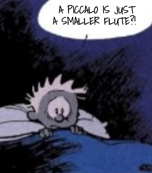 Worried | A PICCALO IS JUST A SMALLER FLUTE?! | image tagged in worried | made w/ Imgflip meme maker