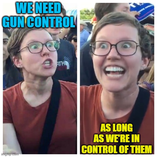 Social Justice Warrior Hypocrisy | WE NEED GUN CONTROL AS LONG AS WE'RE IN CONTROL OF THEM | image tagged in social justice warrior hypocrisy | made w/ Imgflip meme maker