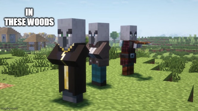 Illagers | IN THESE WOODS | image tagged in illagers | made w/ Imgflip meme maker