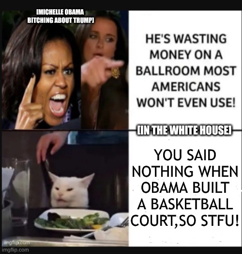 cat yelling at woman | [MICHELLE OBAMA 
BITCHING ABOUT TRUMP]; YOU SAID NOTHING WHEN OBAMA BUILT A BASKETBALL COURT,SO STFU! [IN THE WHITE HOUSE] | image tagged in ballroom,donald trump,michelle obama | made w/ Imgflip meme maker
