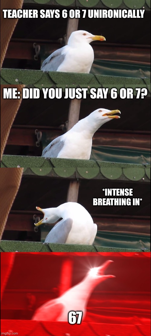 Inhaling Seagull Meme | TEACHER SAYS 6 OR 7 UNIRONICALLY; ME: DID YOU JUST SAY 6 OR 7? *INTENSE BREATHING IN*; 67 | image tagged in memes,inhaling seagull | made w/ Imgflip meme maker