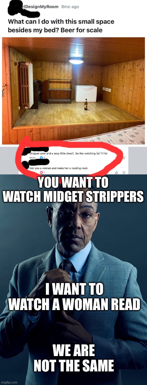 Both kinda cursed in their own way | YOU WANT TO WATCH MIDGET STRIPPERS; I WANT TO WATCH A WOMAN READ; WE ARE NOT THE SAME | image tagged in gus fring we are not the same,cursed,midget,strippers,reading | made w/ Imgflip meme maker