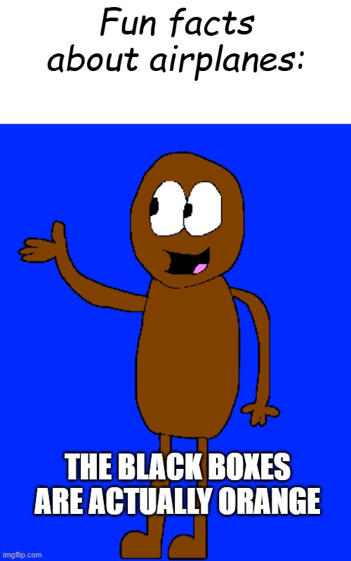 a fact about airplanes | Fun facts about airplanes:; THE BLACK BOXES ARE ACTUALLY ORANGE | image tagged in wilkins talking,aviation,airplane,fun fact,wilkins,wilkins coffee | made w/ Imgflip meme maker