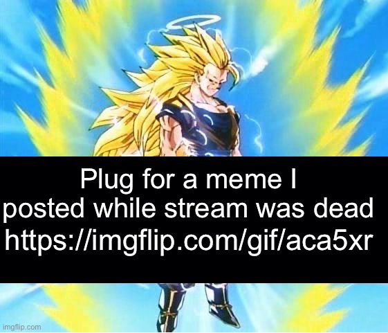 I hope I’m not too late | Plug for a meme I posted while stream was dead; https://imgflip.com/gif/aca5xr | image tagged in goku ssj3 | made w/ Imgflip meme maker