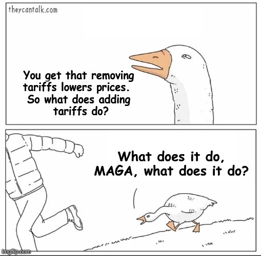 MAGA | You get that removing 
tariffs lowers prices.  
So what does adding 
tariffs do? What does it do, MAGA, what does it do? | image tagged in inquisitive duck | made w/ Imgflip meme maker