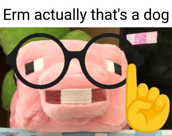 Nerd pig | Erm actually that's a dog | image tagged in nerd pig | made w/ Imgflip meme maker