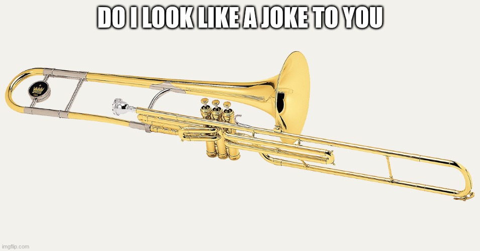 Am I a joke to you? | DO I LOOK LIKE A JOKE TO YOU | image tagged in trombone,trumpet | made w/ Imgflip meme maker
