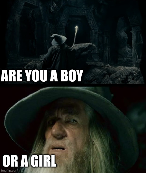 I have no memory of this place | ARE YOU A BOY OR A GIRL | image tagged in i have no memory of this place | made w/ Imgflip meme maker