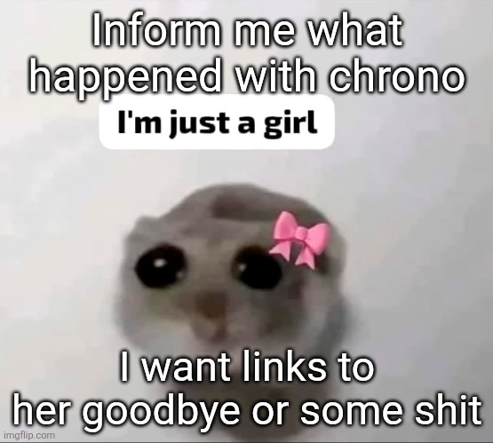 I'm just a girl | Inform me what happened with chrono; I want links to her goodbye or some shit | image tagged in i'm just a girl | made w/ Imgflip meme maker