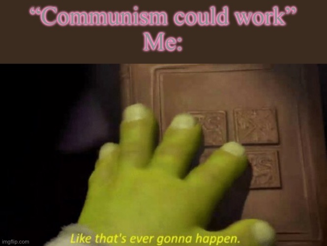 Like that’s ever gonna happen | “Communism could work”
Me: | image tagged in like that's ever gonna happen,communism,shrek,cartoon | made w/ Imgflip meme maker