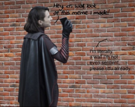 Stormfront talking to a wall | image tagged in stormfront talking to a wall | made w/ Imgflip meme maker