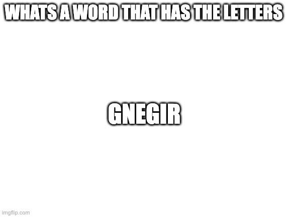 wrong answers only | WHATS A WORD THAT HAS THE LETTERS; GNEGIR | image tagged in blank white template | made w/ Imgflip meme maker