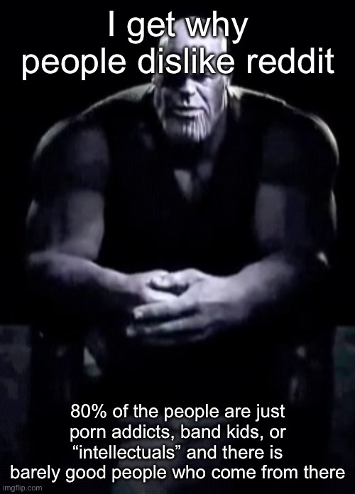 Silver is that small percent | I get why people dislike reddit; 80% of the people are just porn addicts, band kids, or “intellectuals” and there is barely good people who come from there | image tagged in thanos sitting | made w/ Imgflip meme maker