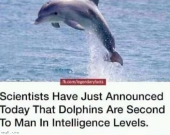 No way....now woman are at 3rd place | made w/ Imgflip meme maker