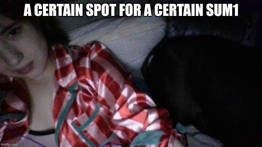 I'll js have to move big boy (my dog) | A CERTAIN SPOT FOR A CERTAIN SUM1 | made w/ Imgflip meme maker