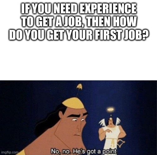 We’ve all thought about this at least once | IF YOU NEED EXPERIENCE TO GET A JOB, THEN HOW DO YOU GET YOUR FIRST JOB? | image tagged in no no he's got a point | made w/ Imgflip meme maker