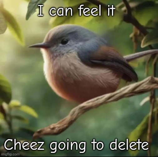 It's a cycle, he does it everytime | I can feel it; Cheez going to delete | image tagged in no balls | made w/ Imgflip meme maker