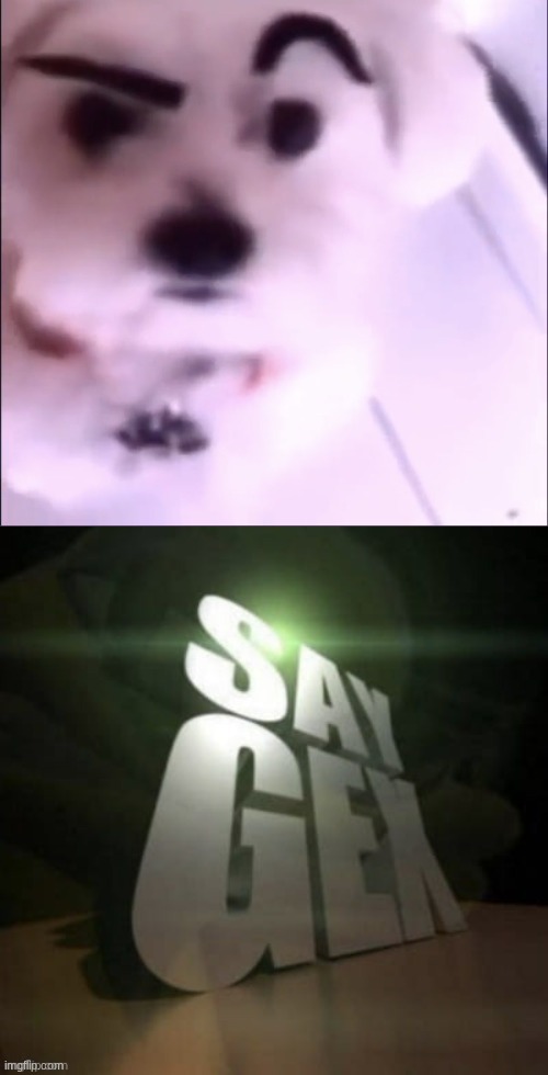 image tagged in raised eyebrow dog,say gex | made w/ Imgflip meme maker