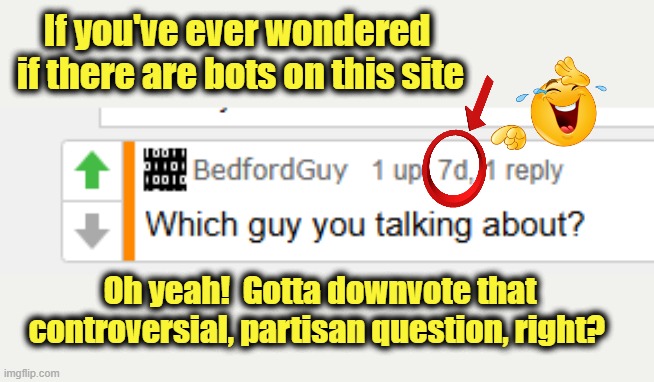 If you've ever wondered 
if there are bots on this site Oh yeah!  Gotta downvote that
controversial, partisan question, right? | made w/ Imgflip meme maker