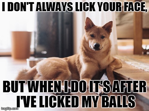 I DON'T ALWAYS LICK YOUR FACE, BUT WHEN I DO IT'S AFTER I'VE LICKED MY BALLS | image tagged in AdviceAnimals | made w/ Imgflip meme maker