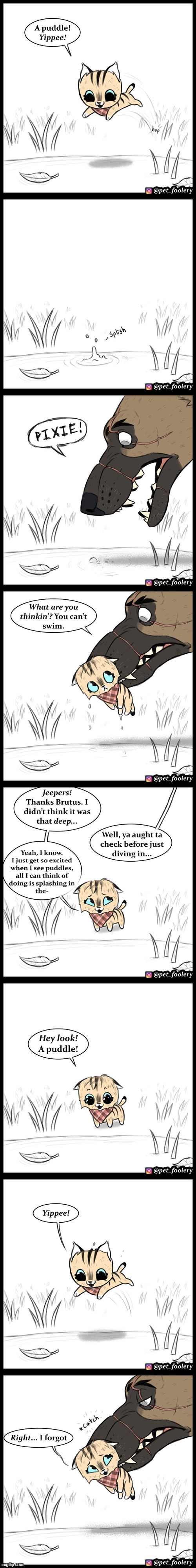 image tagged in cat,puddle,jump,dog,rescue,yippee | made w/ Imgflip meme maker