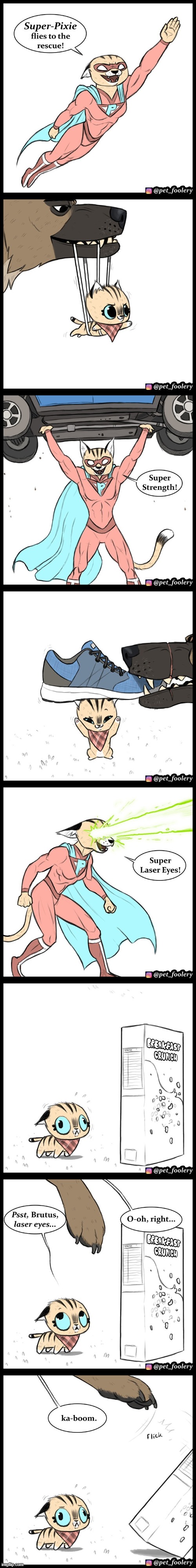 image tagged in cat,superhero,dog,superpowers,lasers,eyes | made w/ Imgflip meme maker